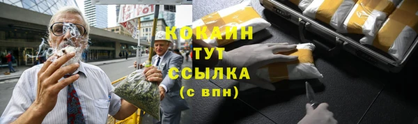 мяу мяу мука Михайловск