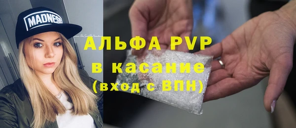 мяу мяу мука Михайловск